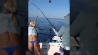 How to Catch Mahi Deep Sea Trolling! Everything you need to know